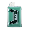 Miami Mint Flavor RAZ TN9000 Disposable Vape