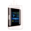 Raspberry Limeade Flavor RAZ DC25000 Disposable Vape
